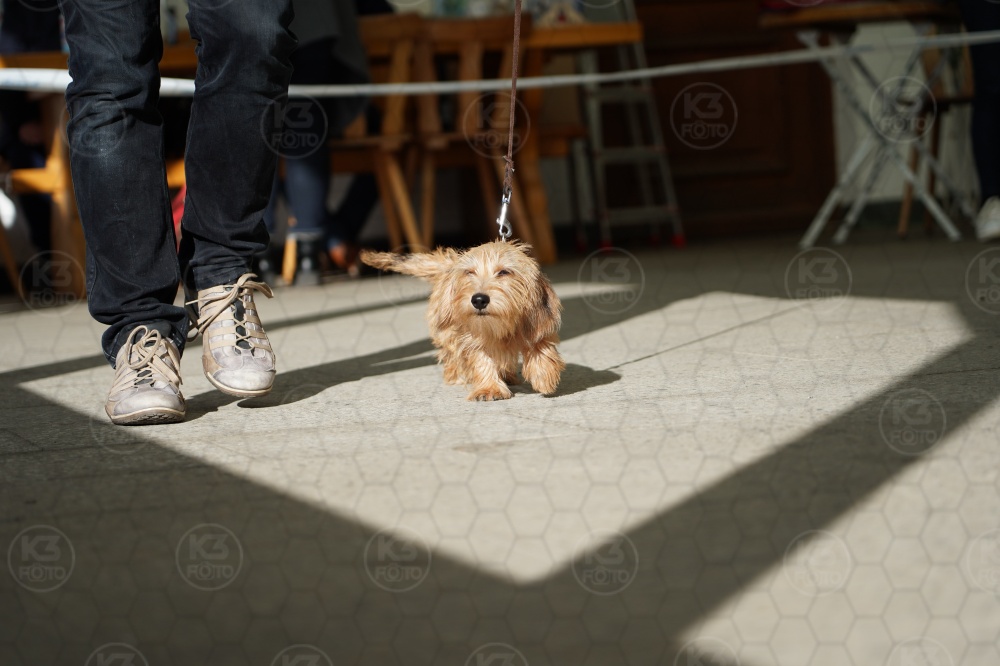 s_A9_09167.jpg
